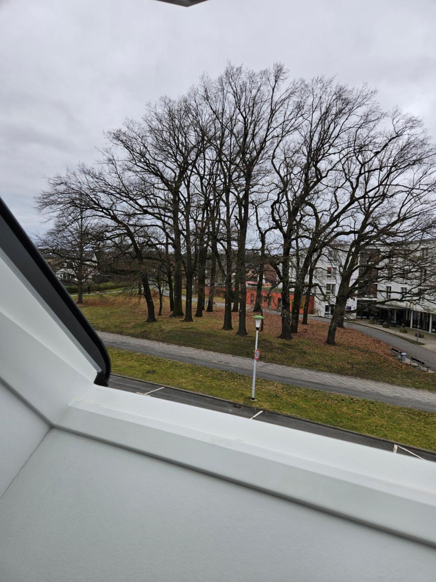 3 Zimmerwohnung Am Neuer Teich Wolfsburg Kültér fotó